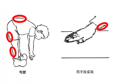 肌肉收缩的部分